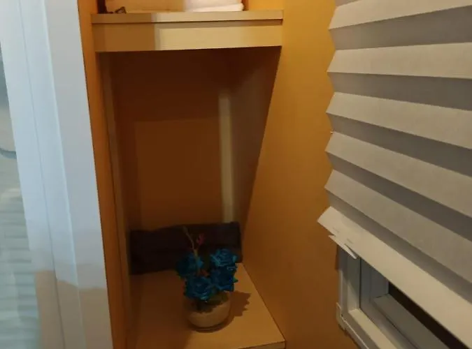 Slow M'ocean * Pataias