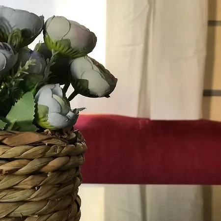 Slow M'ocean Camping Pataias