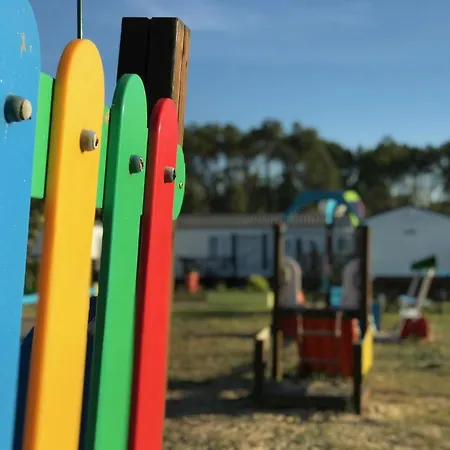 Slow M'ocean Camping *