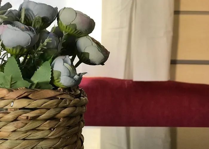 Slow M'ocean Campeggio Pataias